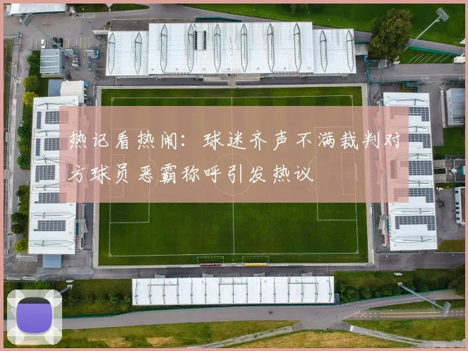 热记看热闹：球迷齐声不满裁判对方球员恶霸称呼引发热议