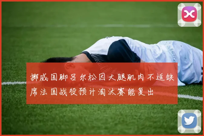 挪威国脚吕尔松因大腿肌肉不适缺席法国战役预计淘汰赛能复出